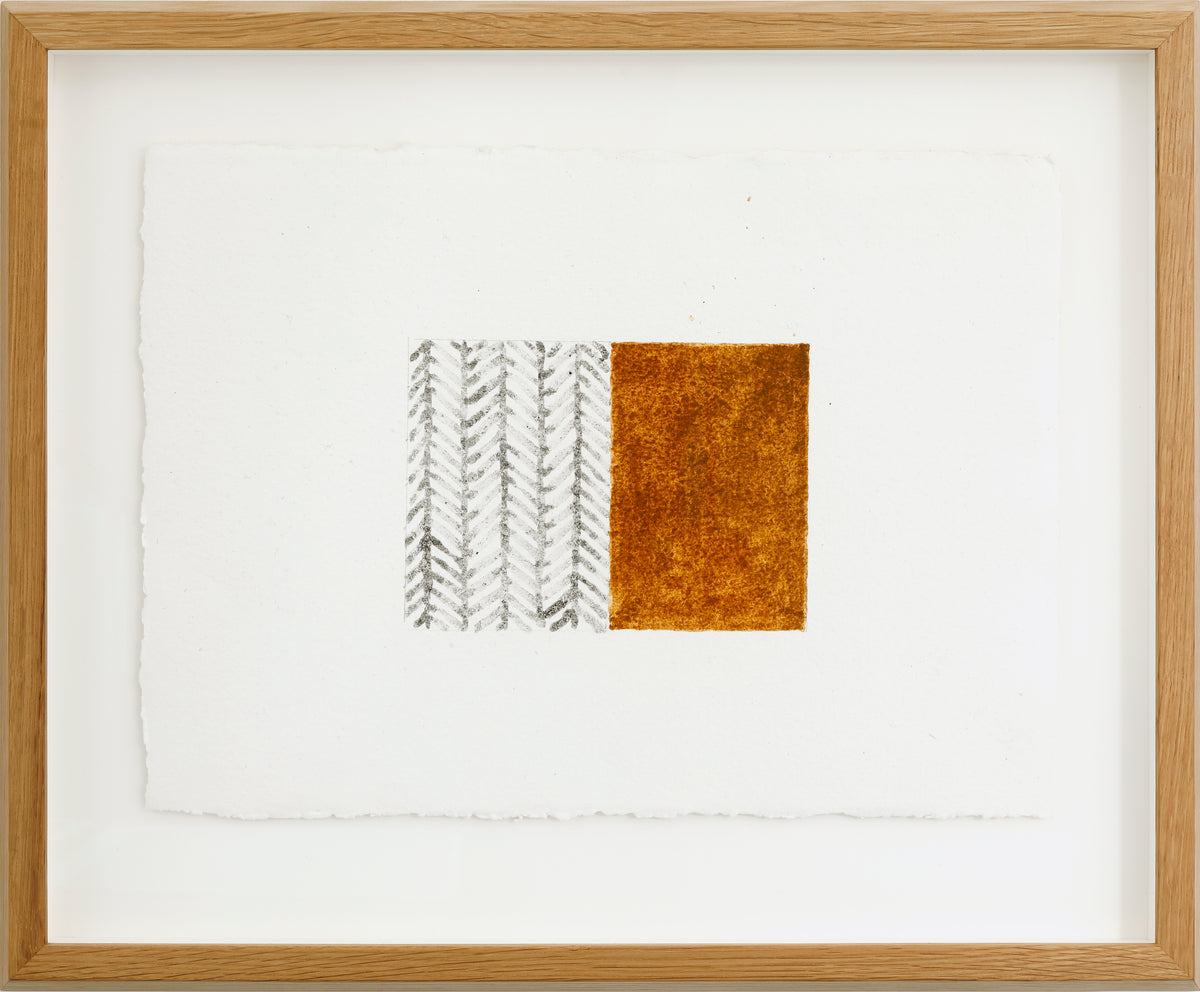 Michael Rainsford | Forest and Field