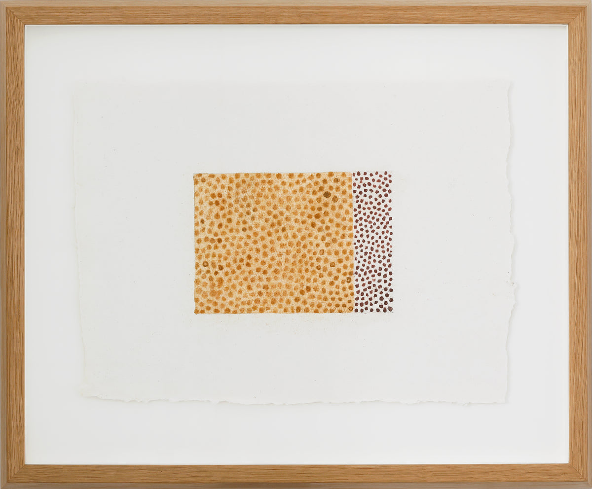 Michael Rainsford | Sea Edge 1